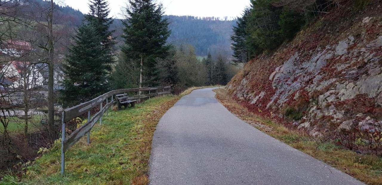 Ferienwohnung "Hirschlein" Im Schwarzwald Baiersbronn Extérieur photo