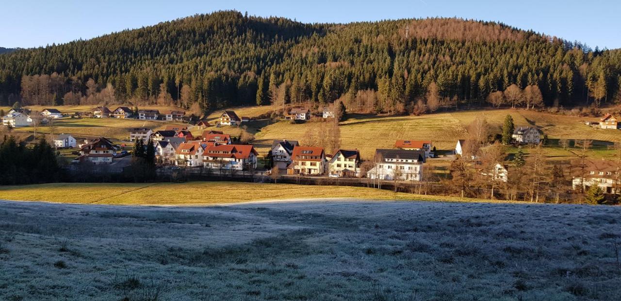 Ferienwohnung "Hirschlein" Im Schwarzwald Baiersbronn Extérieur photo