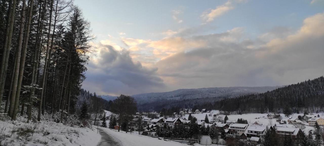 Ferienwohnung "Hirschlein" Im Schwarzwald Baiersbronn Extérieur photo