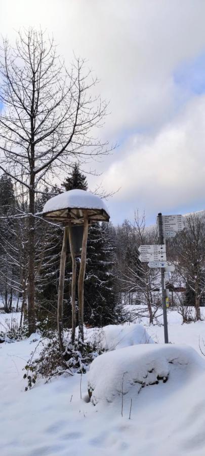 Ferienwohnung "Hirschlein" Im Schwarzwald Baiersbronn Extérieur photo