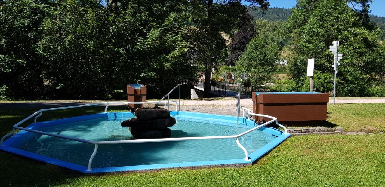 Ferienwohnung "Hirschlein" Im Schwarzwald Baiersbronn Extérieur photo