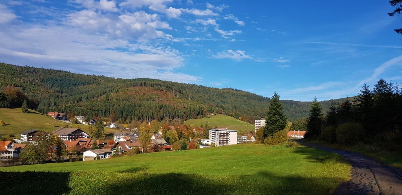 Ferienwohnung "Hirschlein" Im Schwarzwald Baiersbronn Extérieur photo